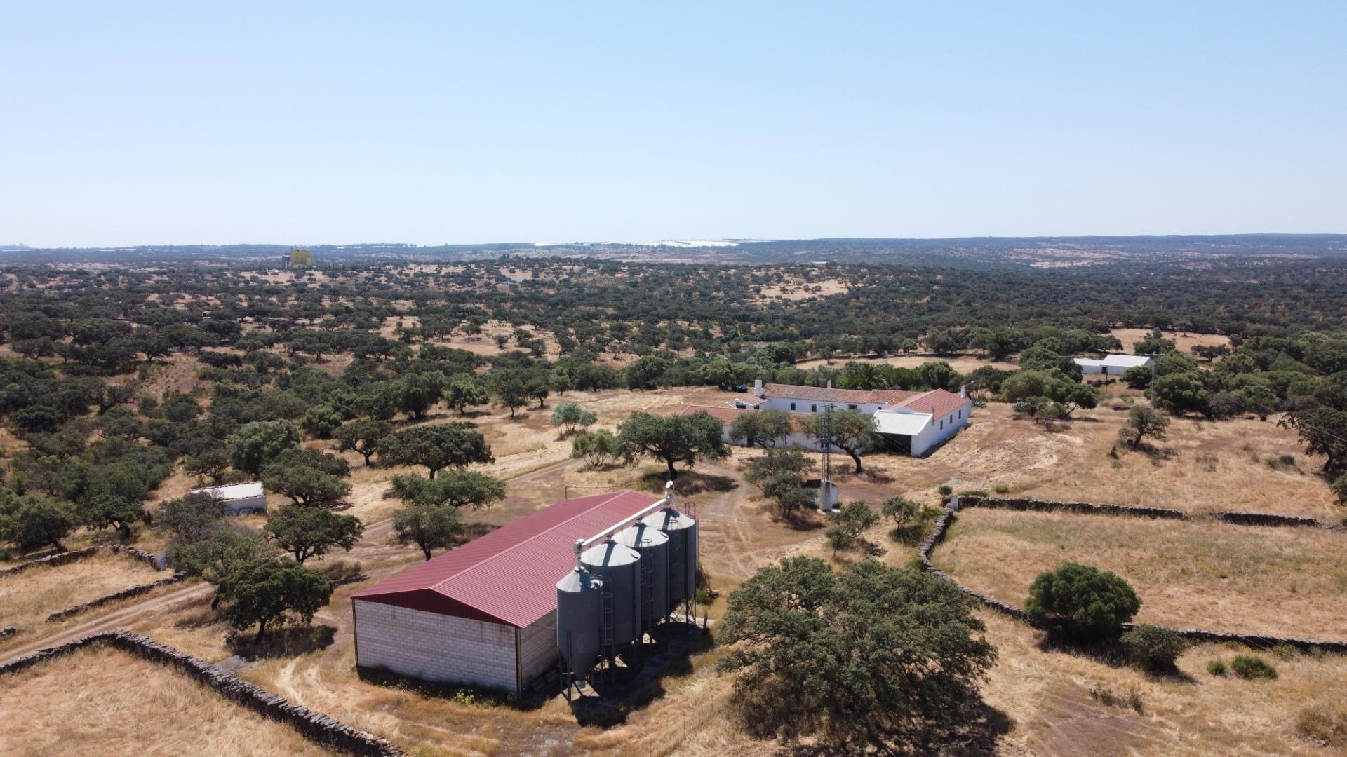 Pisos-Venta-Villanueva de los Castillejos-1731018-Foto-94