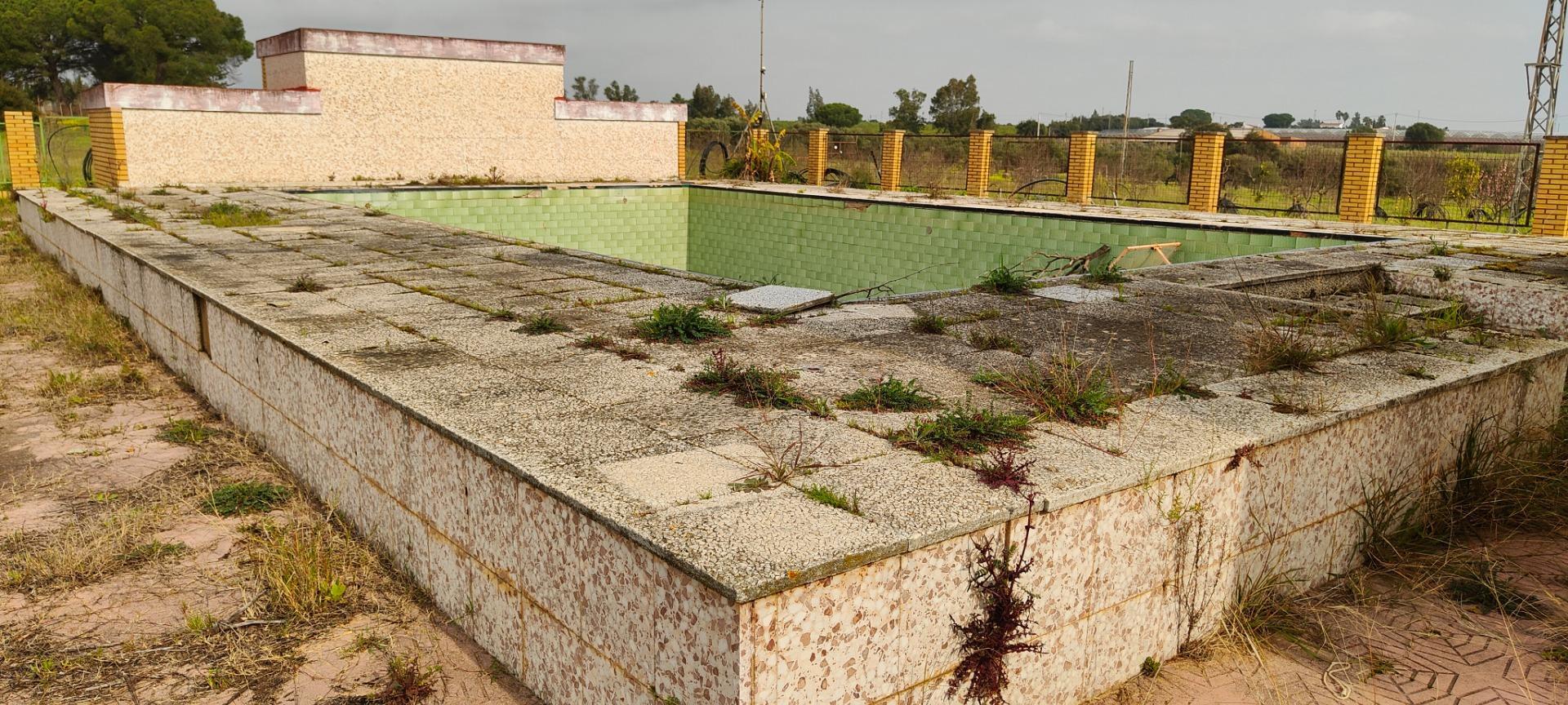 Pisos-Venta-GibraleÃ³n-1651626-Foto-49