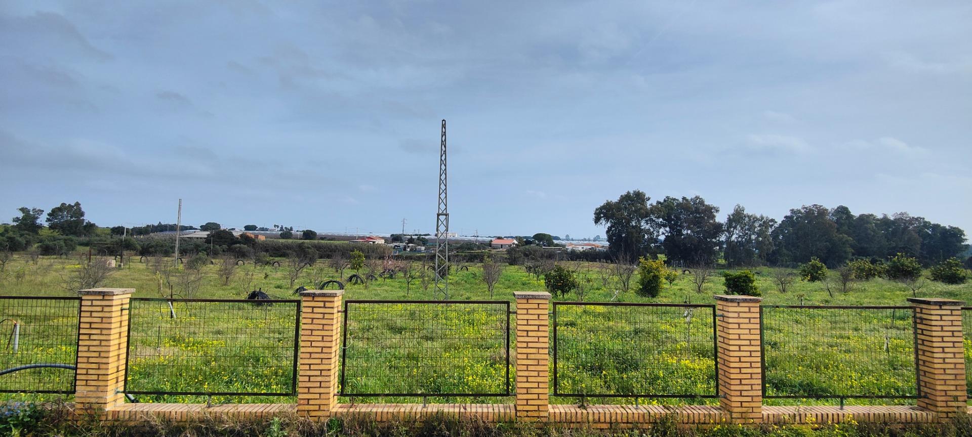 Pisos-Venta-GibraleÃ³n-1651626-Foto-53