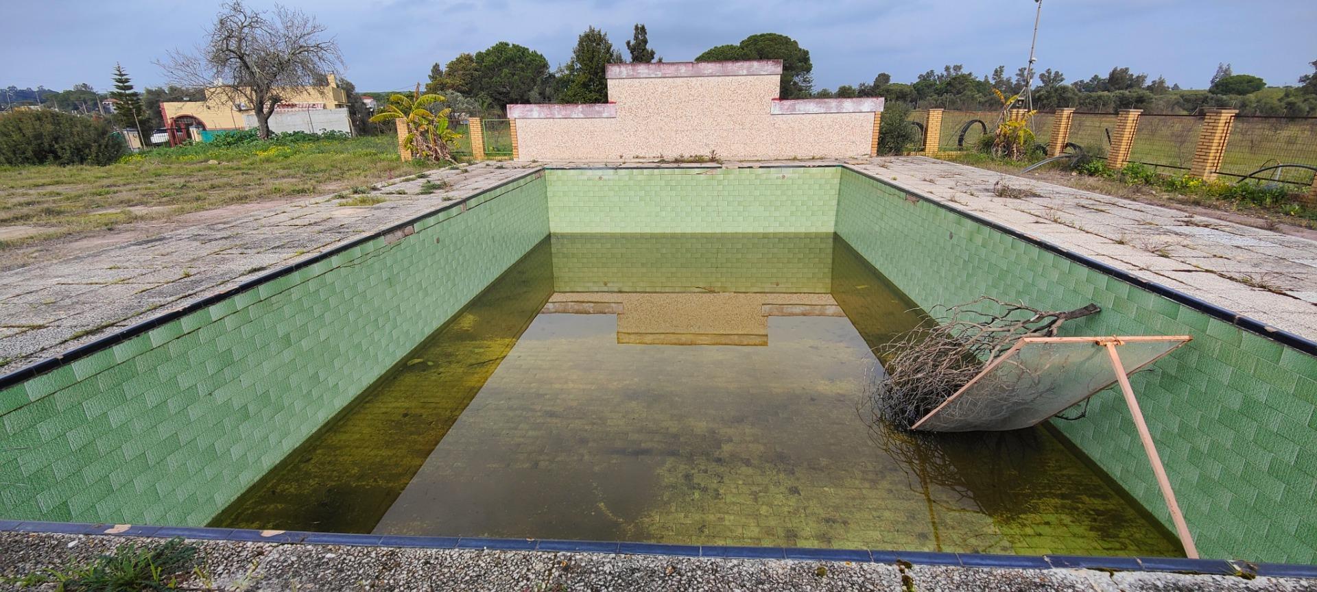 Pisos-Venta-GibraleÃ³n-1651626-Foto-51