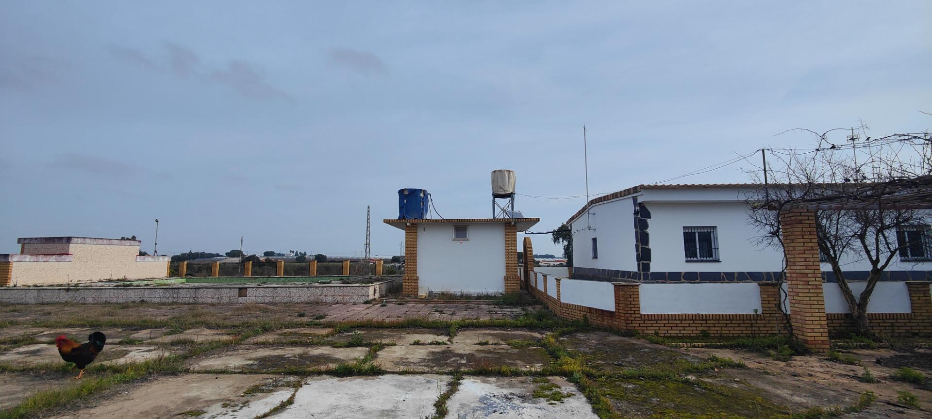 Pisos-Venta-GibraleÃ³n-1651626-Foto-57