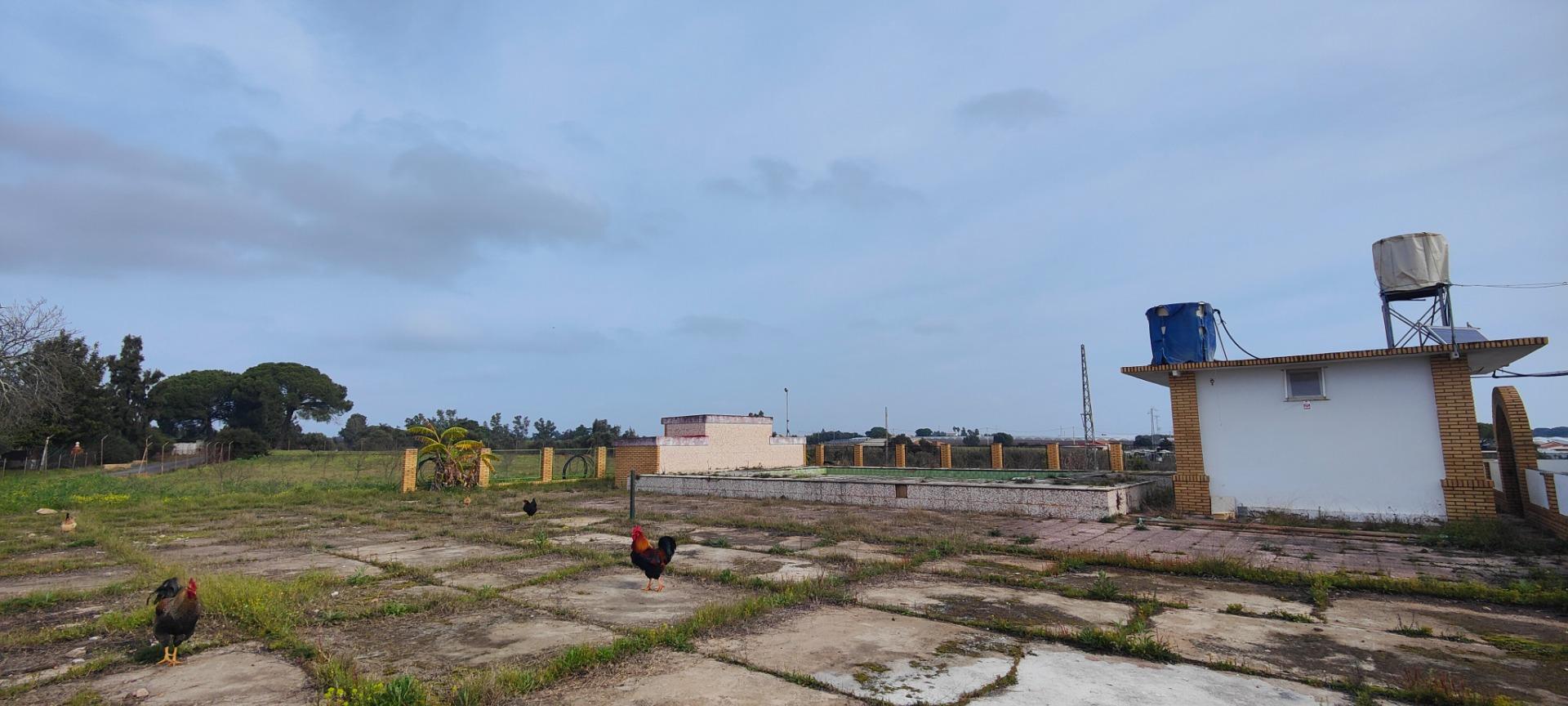 Pisos-Venta-GibraleÃ³n-1651626-Foto-58