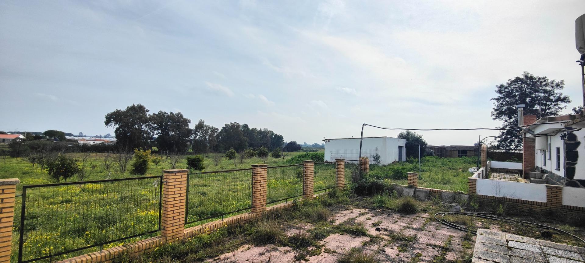 Pisos-Venta-GibraleÃ³n-1651626-Foto-59