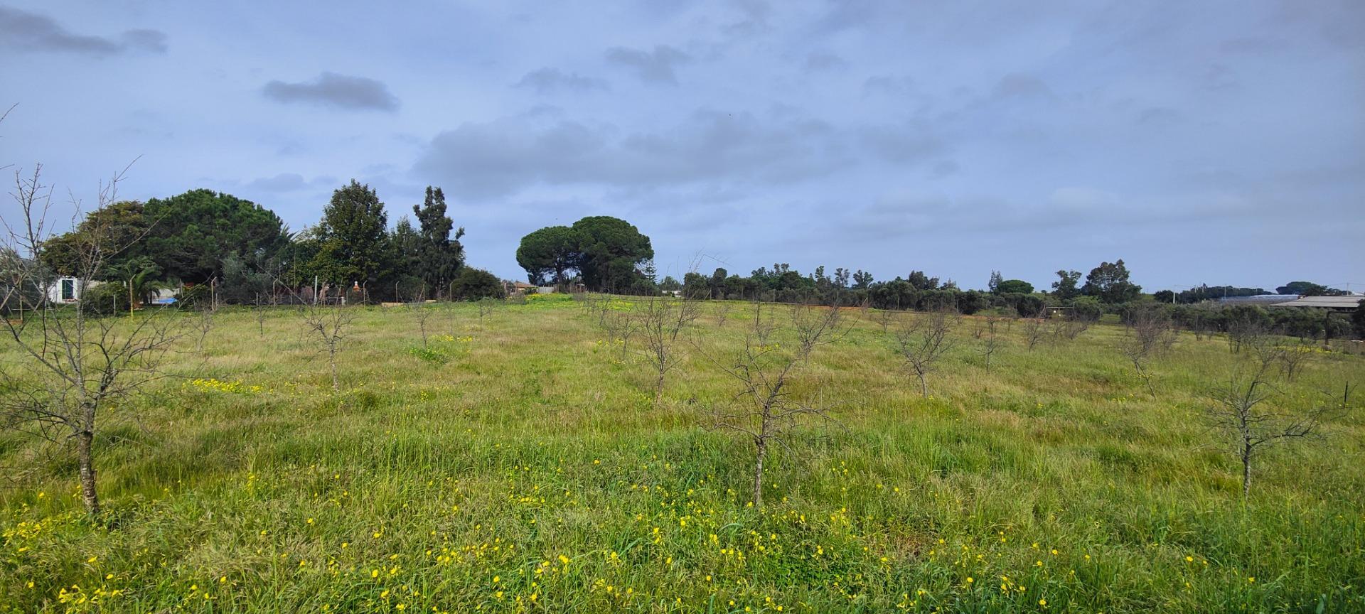 Pisos-Venta-GibraleÃ³n-1651626-Foto-61