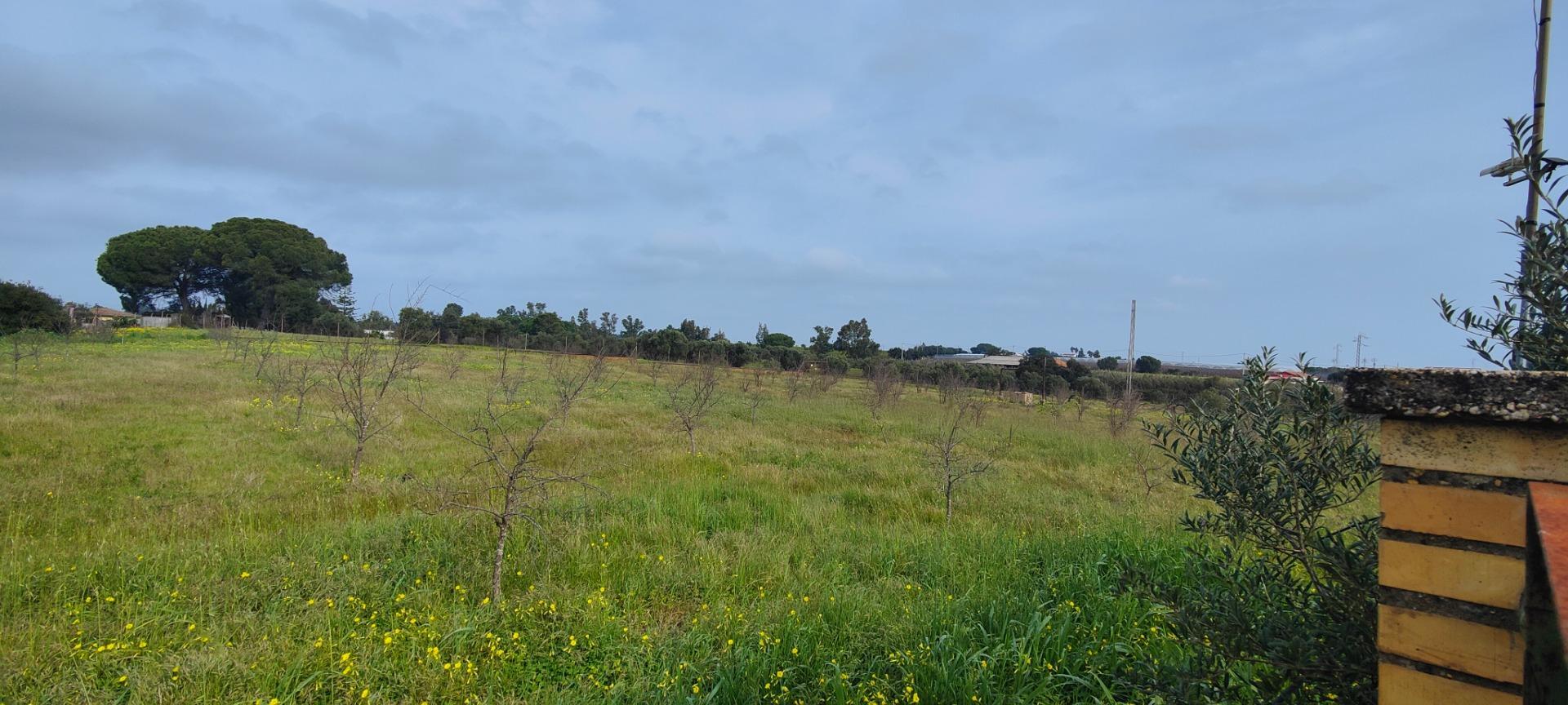 Pisos-Venta-GibraleÃ³n-1651626-Foto-62