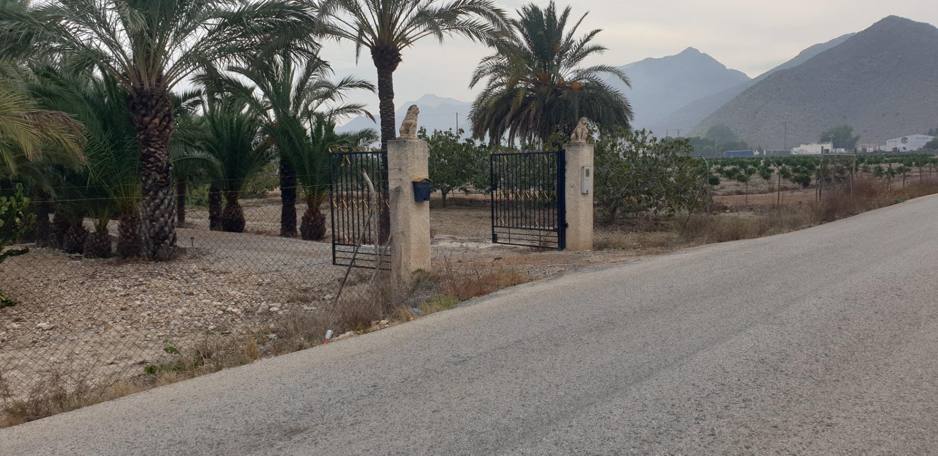 Pisos-Venta-Granja de Rocamora-1088119