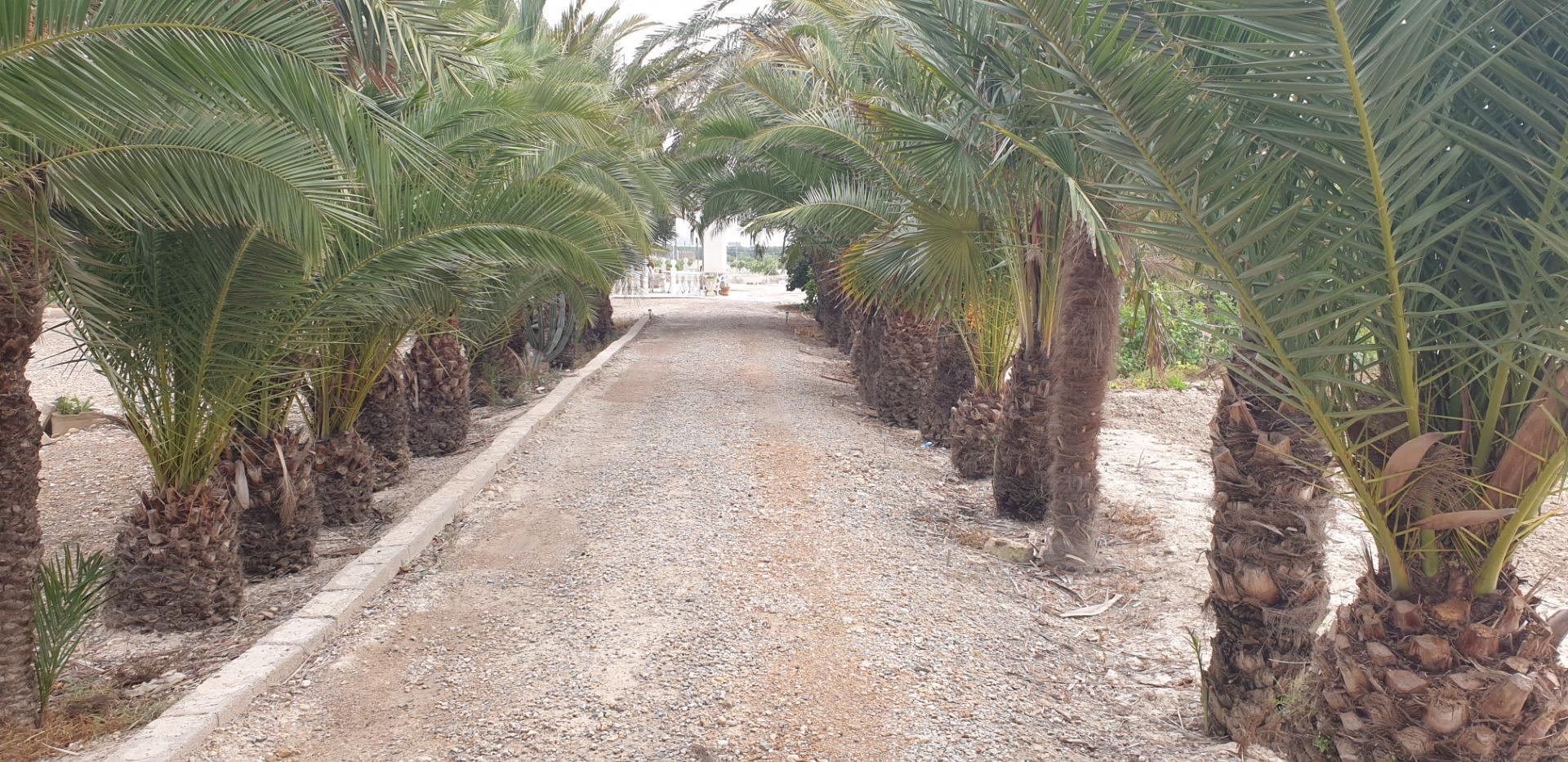 Pisos-Venta-Granja de Rocamora-1088119-Foto-4