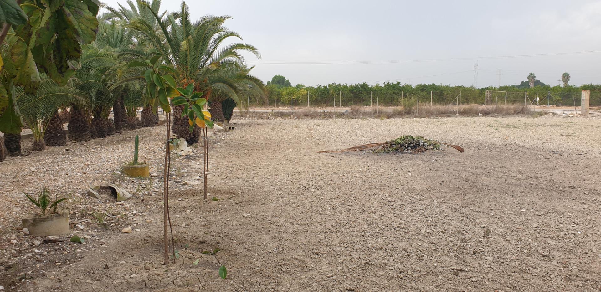 Pisos-Venta-Granja de Rocamora-1088119-Foto-8