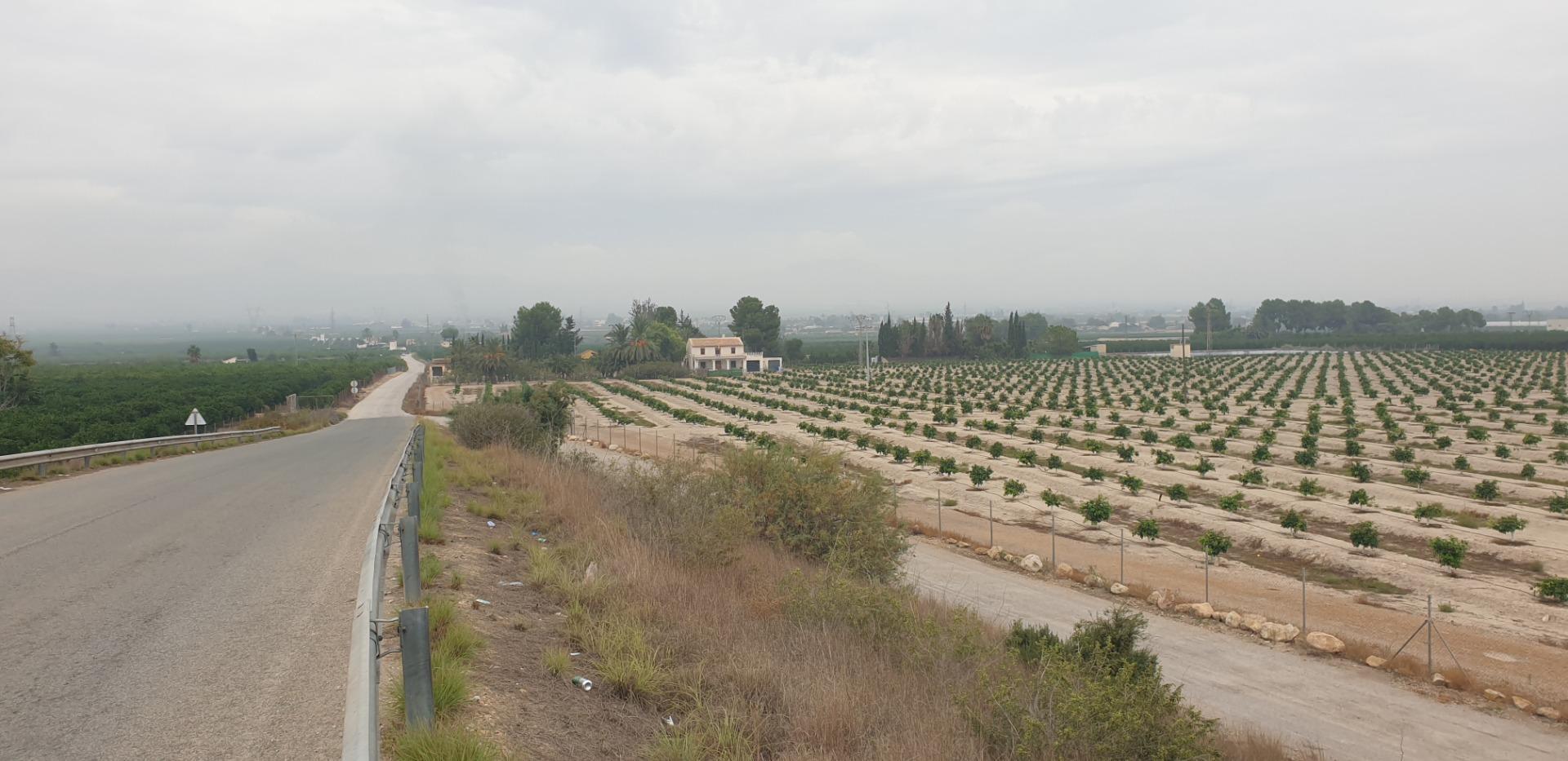 Pisos-Venta-Granja de Rocamora-1088119-Foto-34