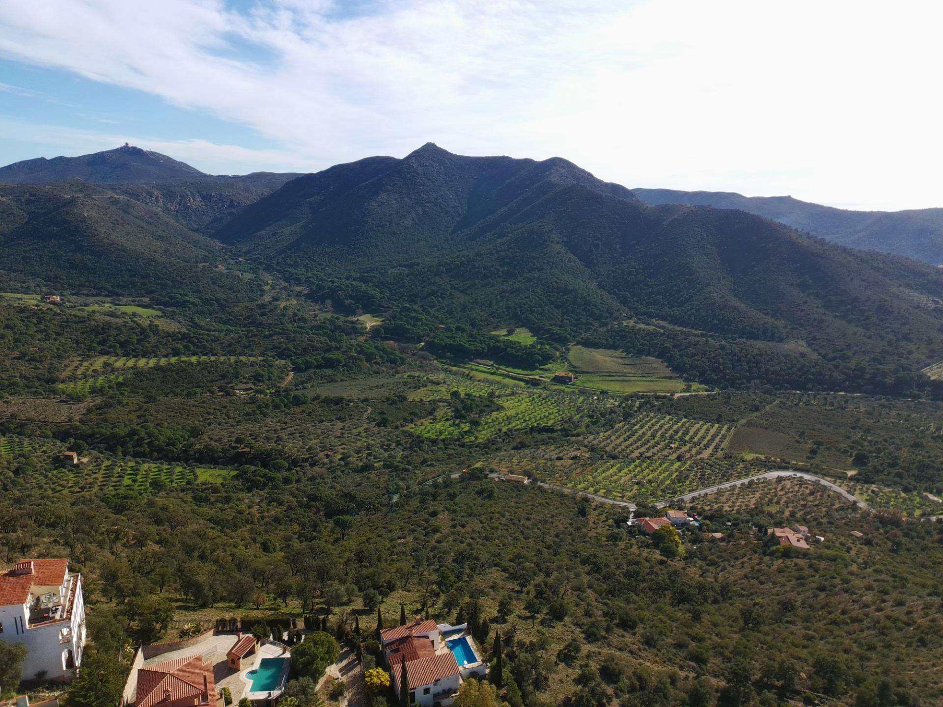 Fincas y solares-Venta-Roses-2087056-Foto-6