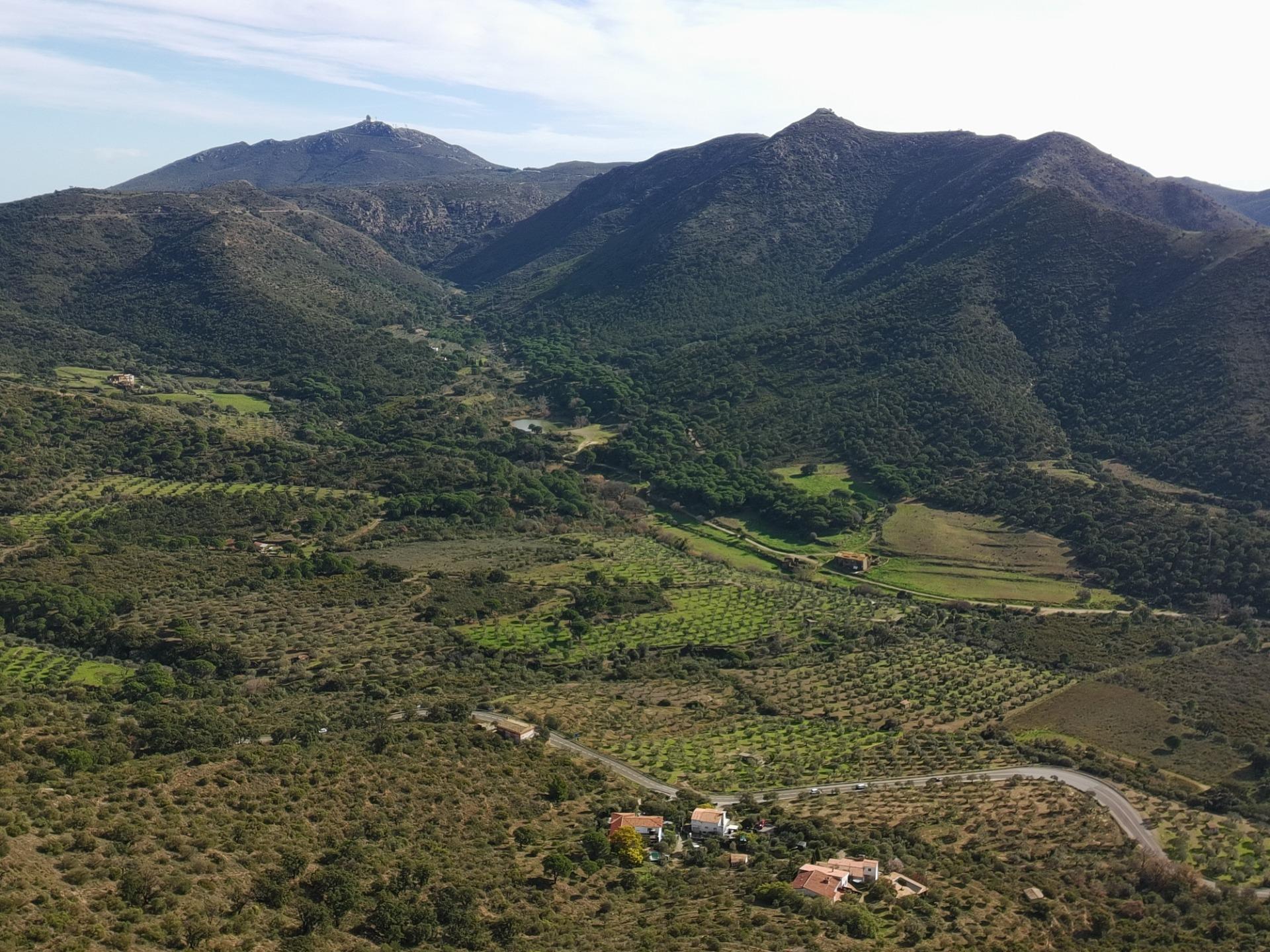 Fincas y solares-Venta-Roses-2087059-Foto-14