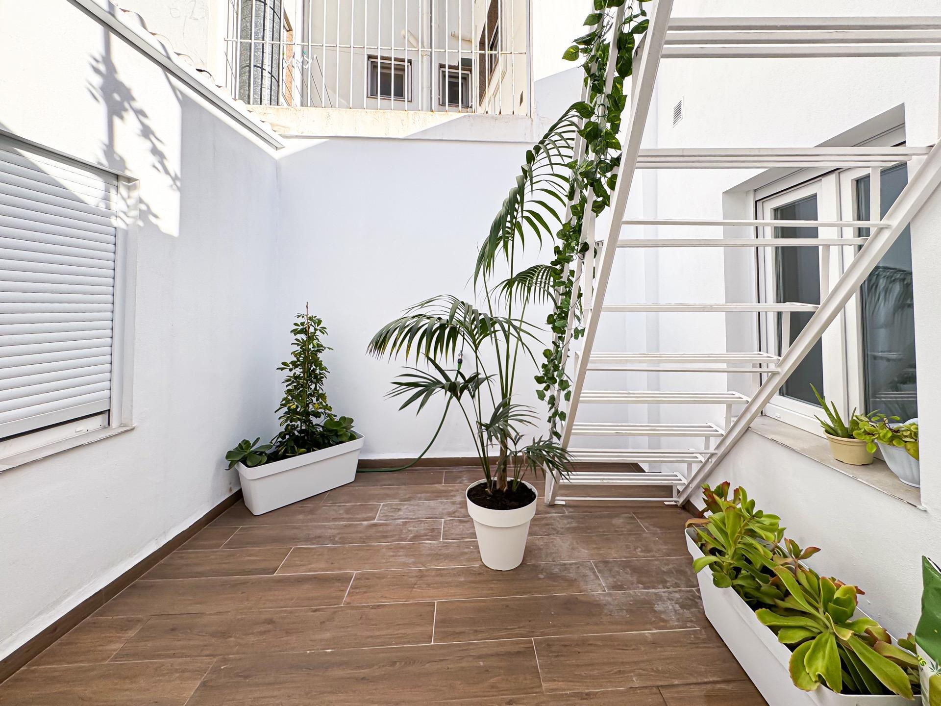 Edificios-Venta-Torrevieja-1993550-Foto-31