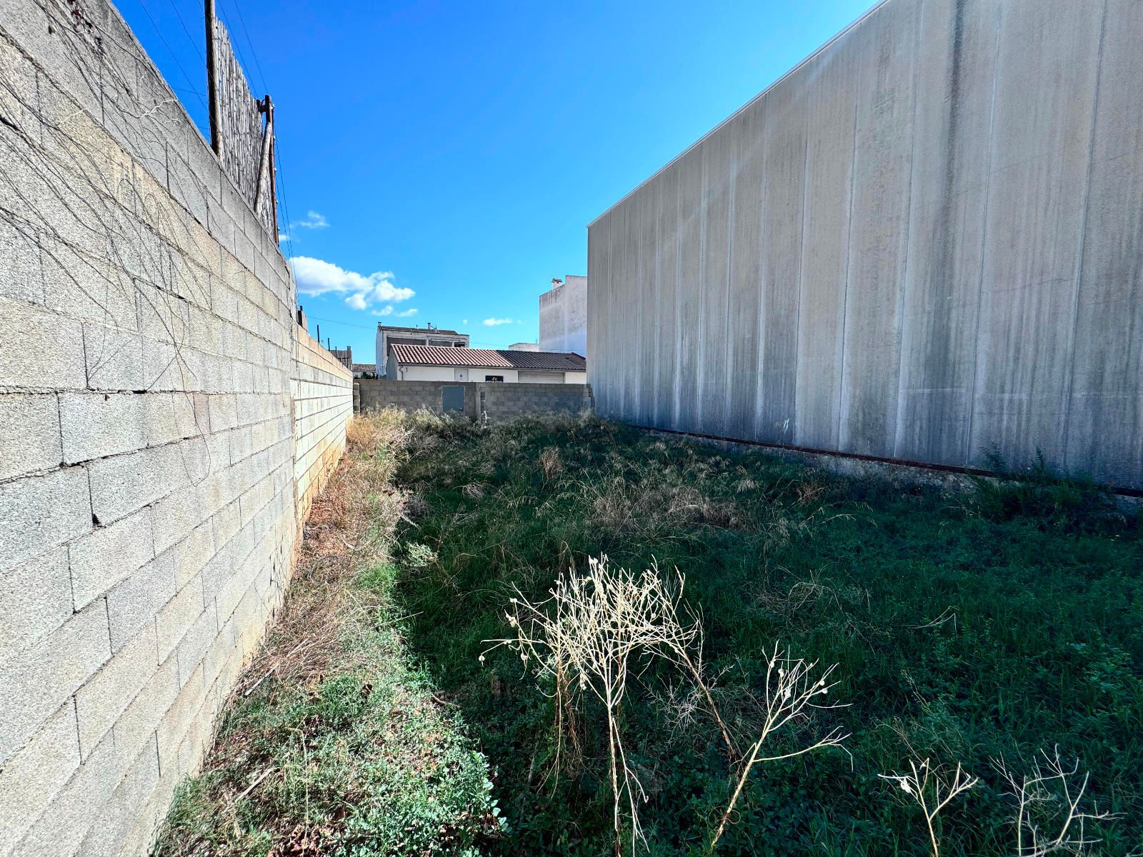 Fincas y solares-Venta-Sa Pobla-1399088-Foto-7