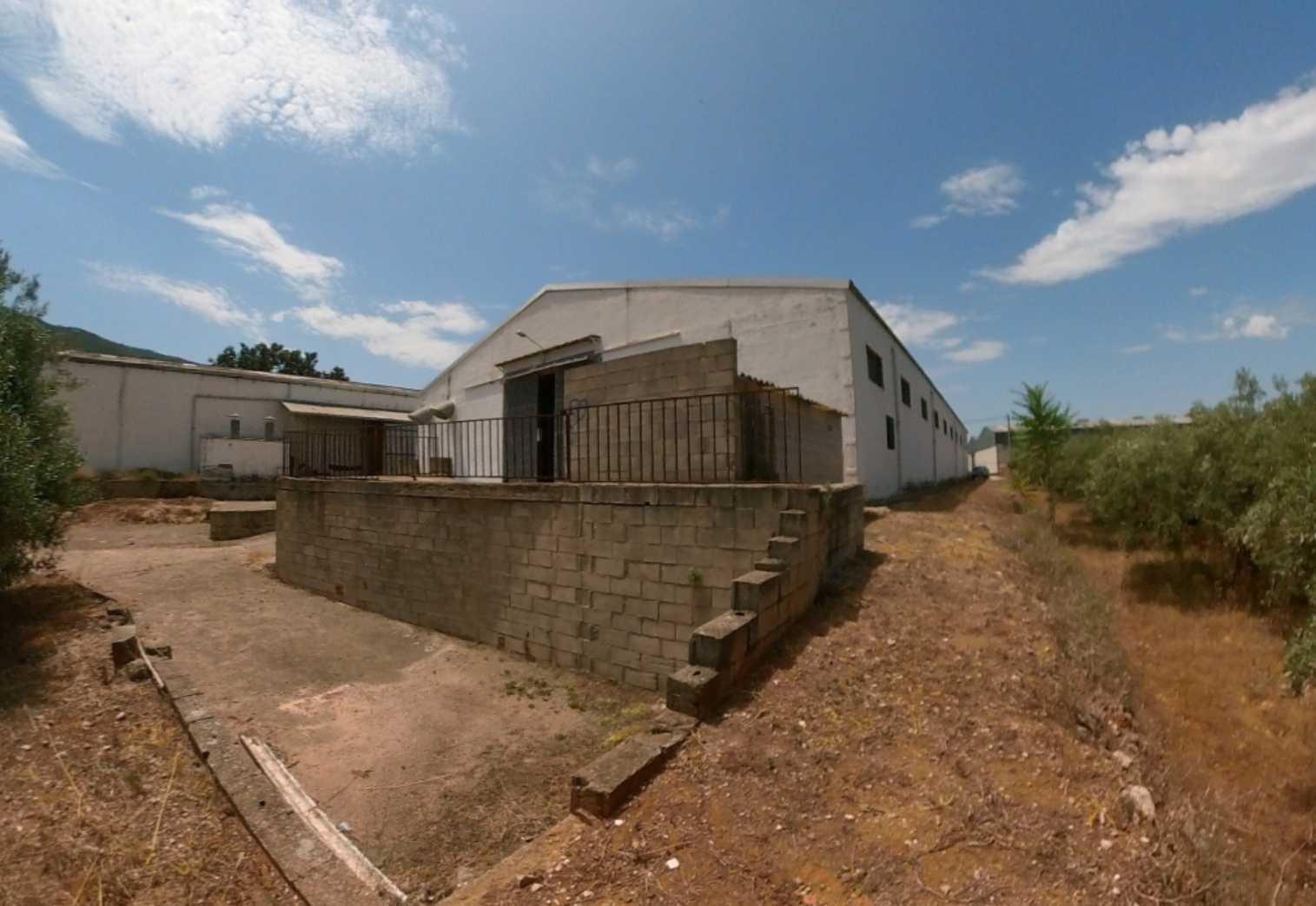 Naves-Venta-Vallada-1764839-Foto-25