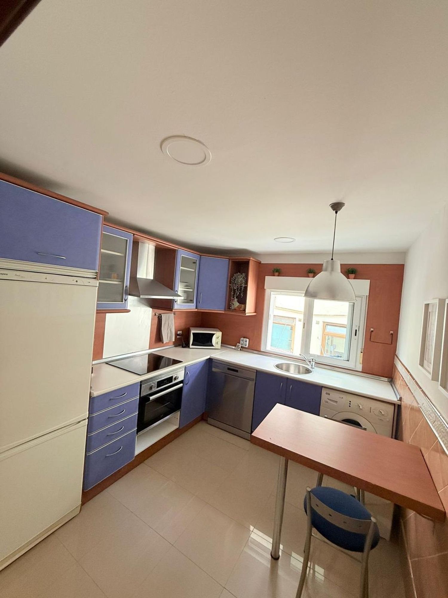 Pisos-Alquiler-Oviedo-2087470-Foto-7