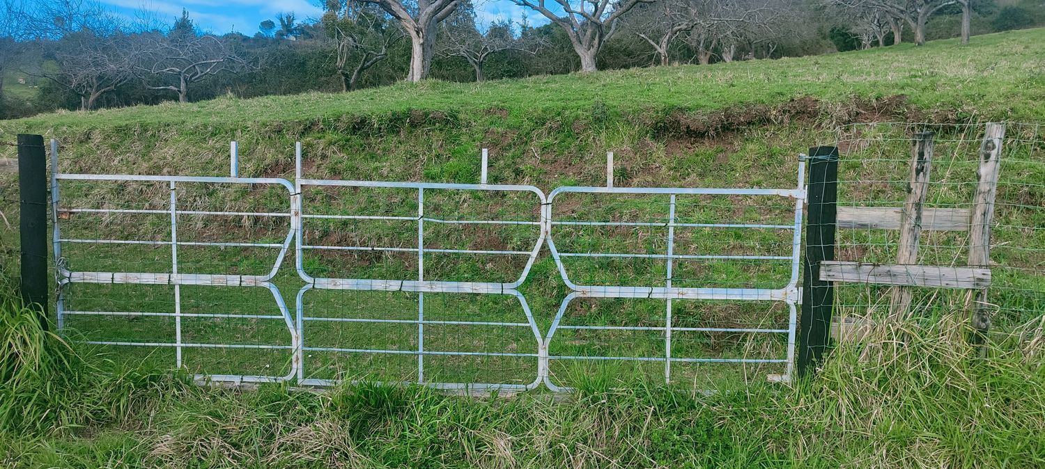 Fincas y solares-Venta-GijÃ³n-1681029-Foto-8