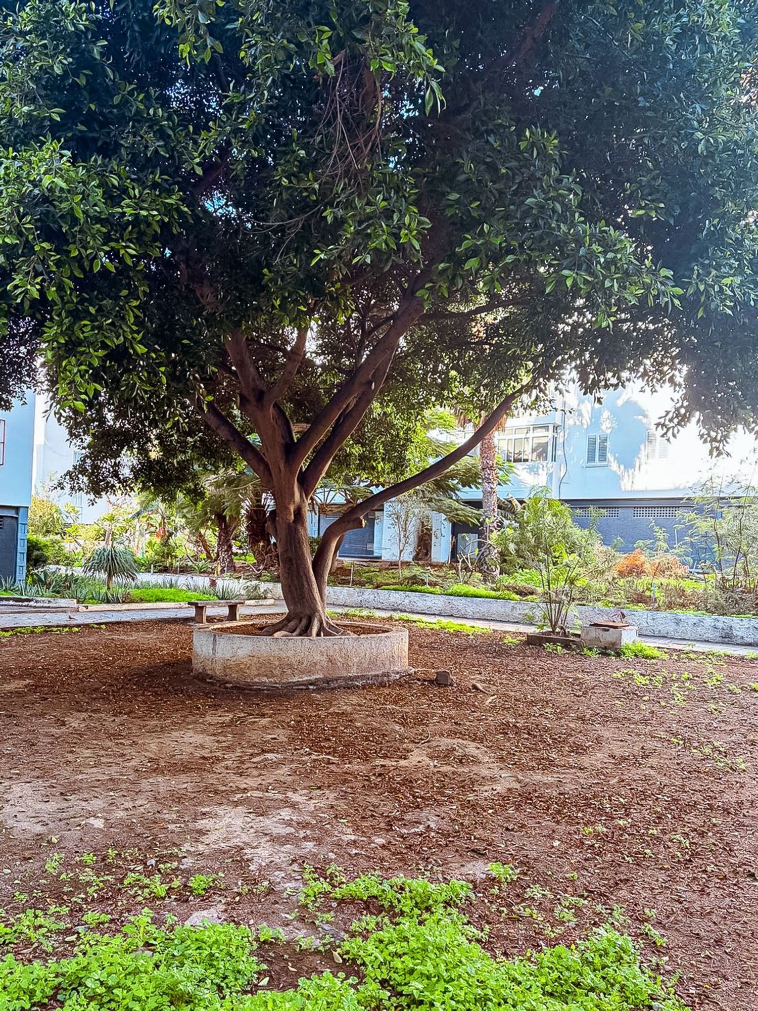 Pisos-Venta-Las Palmas de Gran Canaria-2087488-Foto-2