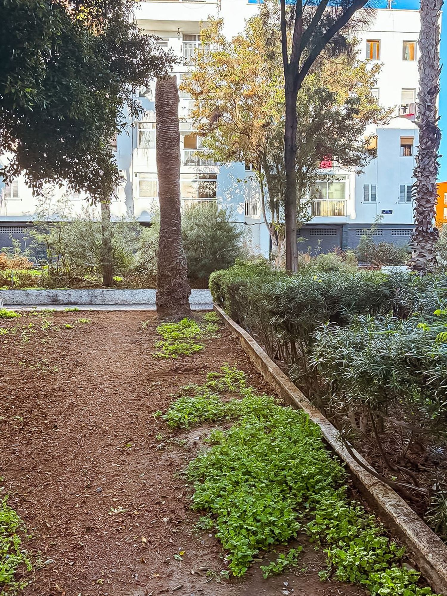 Pisos-Venta-Las Palmas de Gran Canaria-2087488