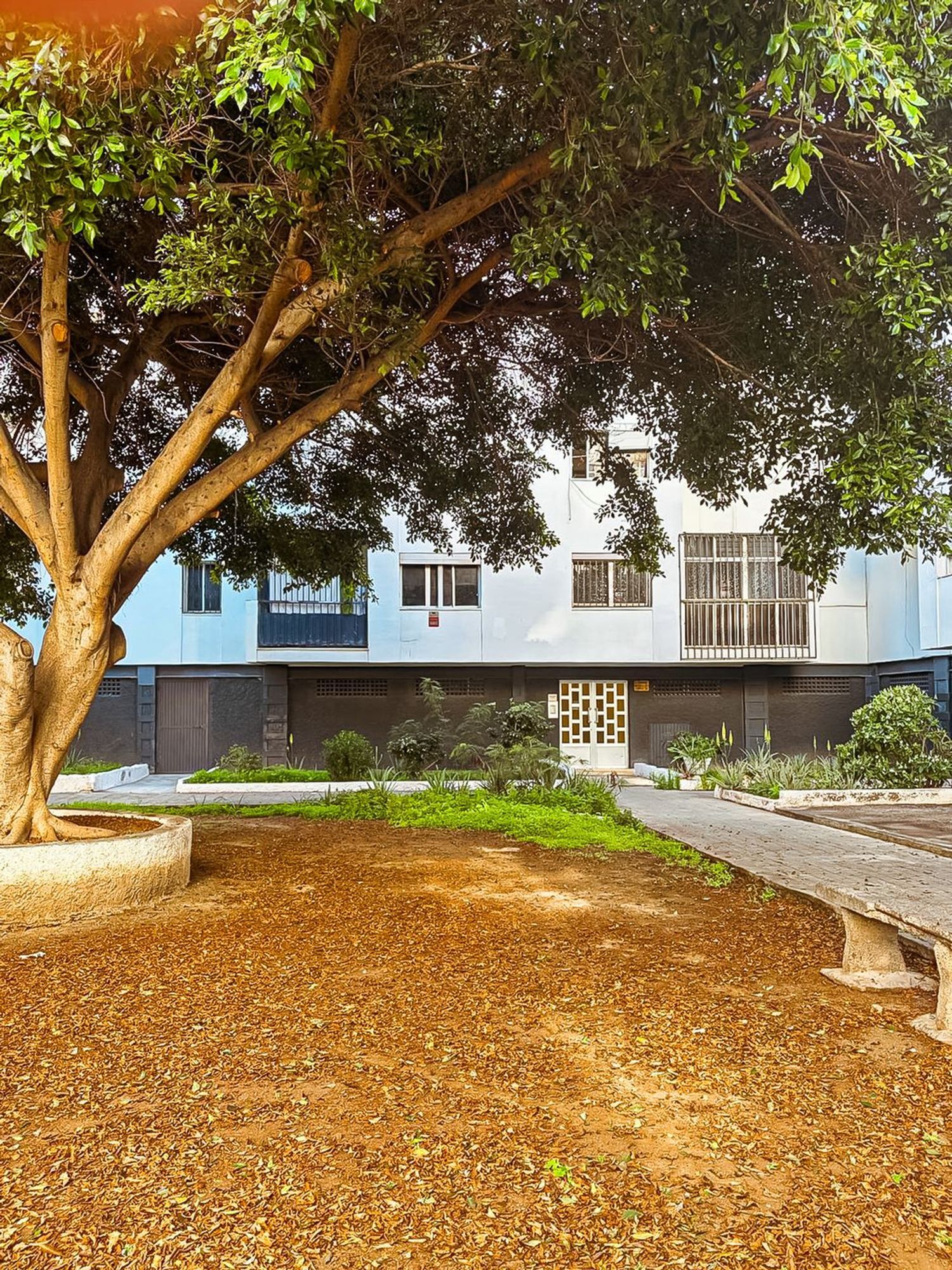 Pisos-Venta-Las Palmas de Gran Canaria-2087488-Foto-24