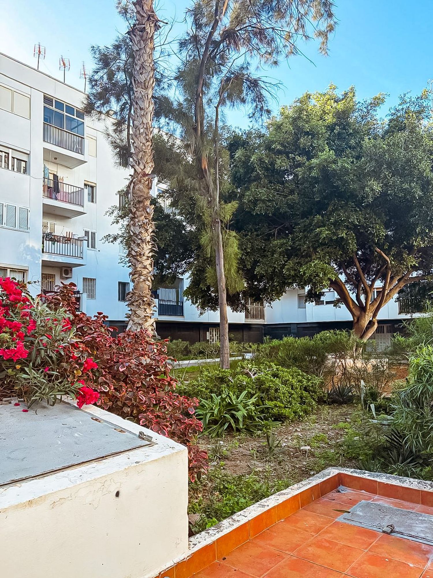 Pisos-Venta-Las Palmas de Gran Canaria-2087488-Foto-25