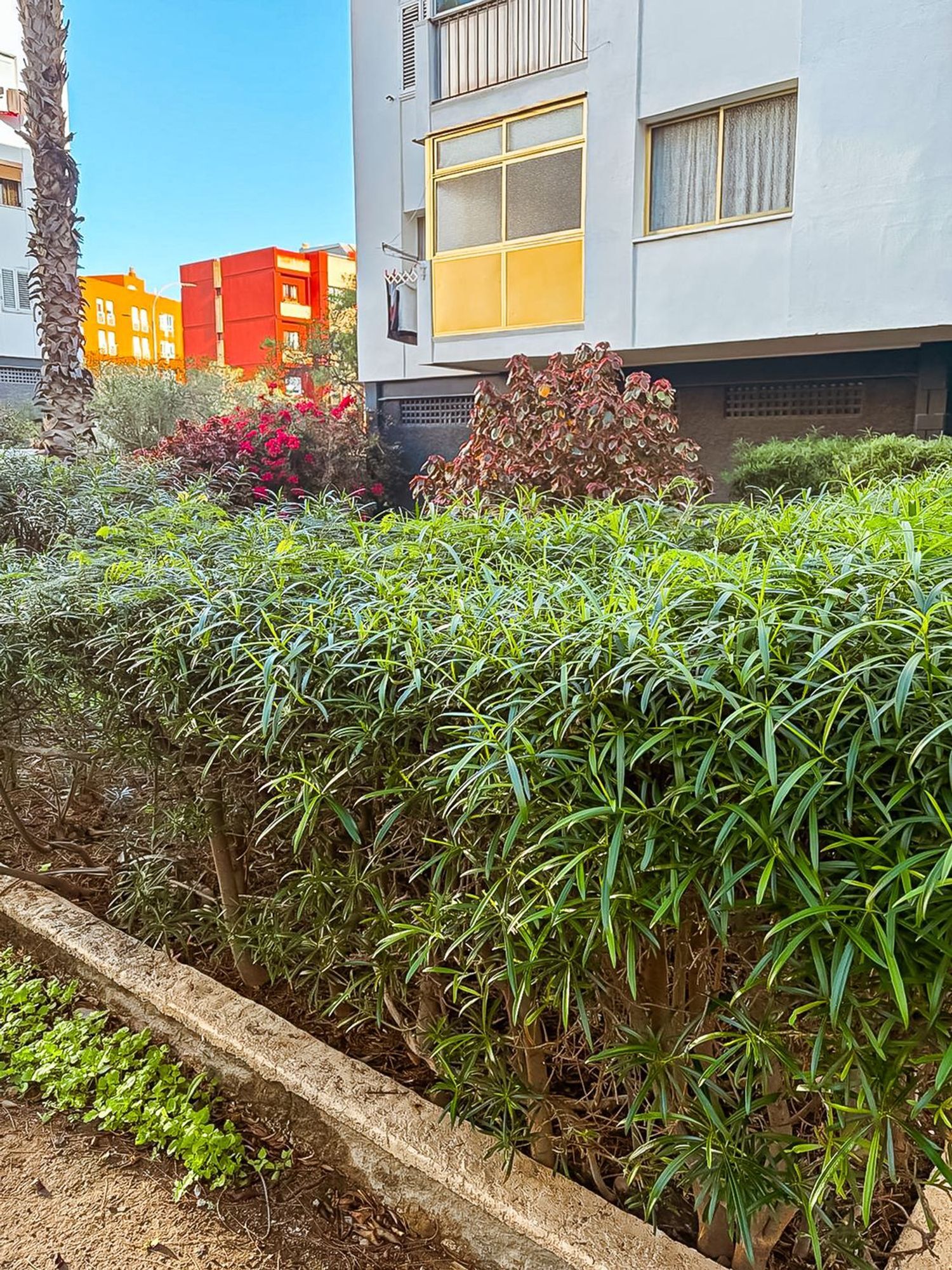 Pisos-Venta-Las Palmas de Gran Canaria-2087488-Foto-26