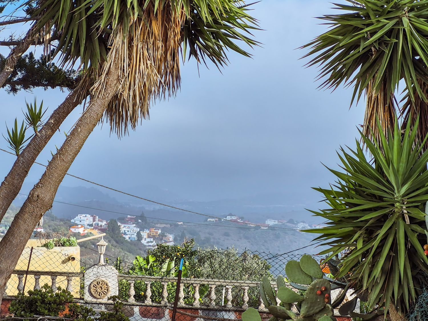 Casas o chalets-Venta-Las Palmas de Gran Canaria-1994022-Foto-6