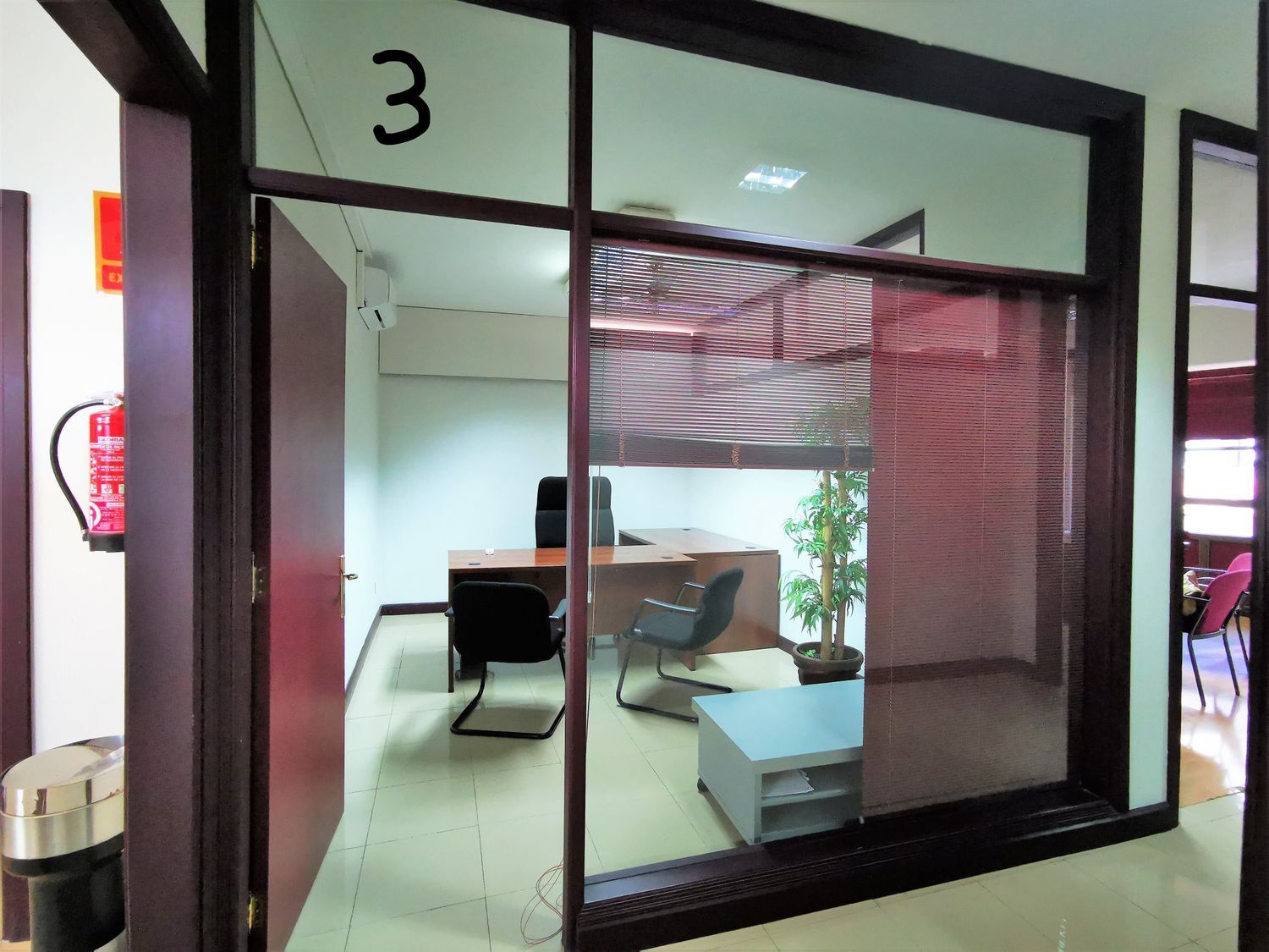 Oficinas-Alquiler-Las Palmas de Gran Canaria-493372-Foto-5