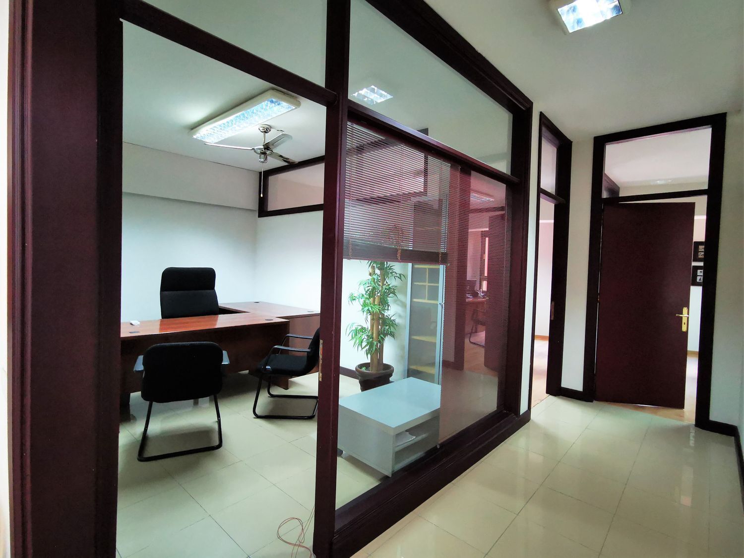 Oficinas-Alquiler-Las Palmas de Gran Canaria-493372-Foto-6