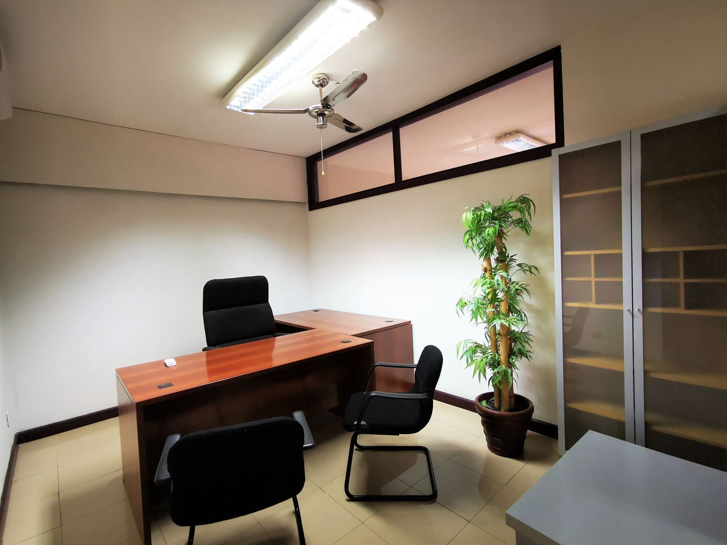 Oficinas-Alquiler-Las Palmas de Gran Canaria-493372-Foto-8