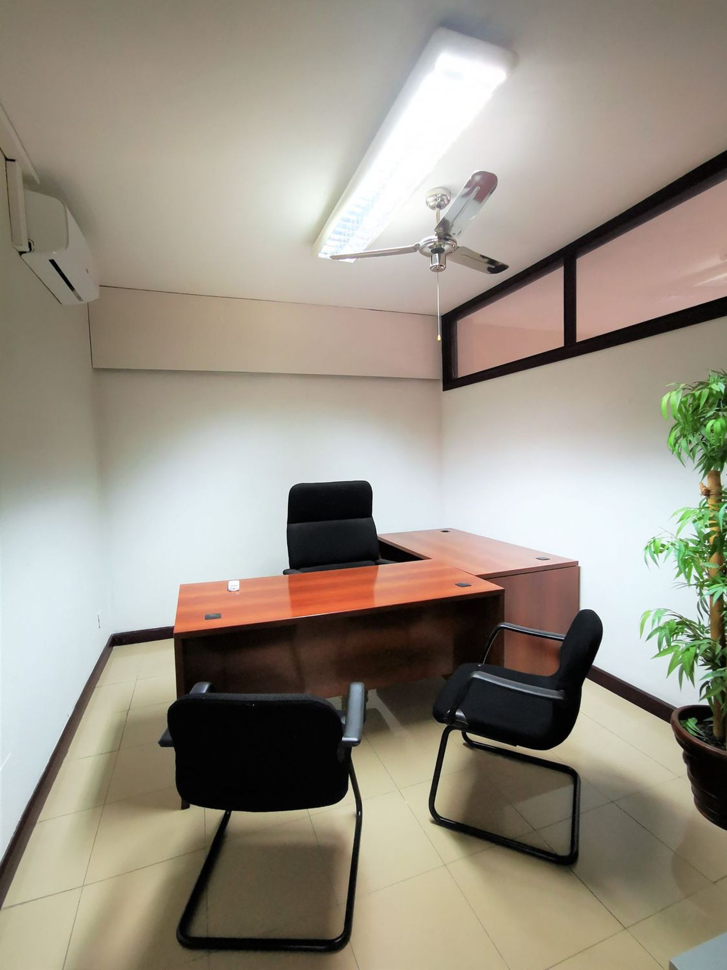 Oficinas-Alquiler-Las Palmas de Gran Canaria-493372-Foto-7