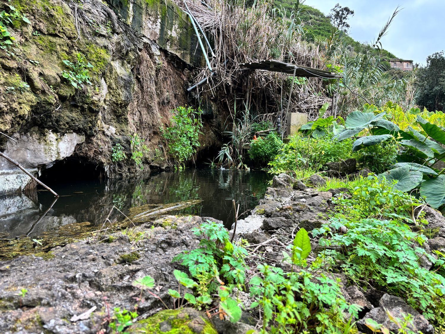 Casas o chalets-Venta-Firgas-1103202-Foto-6