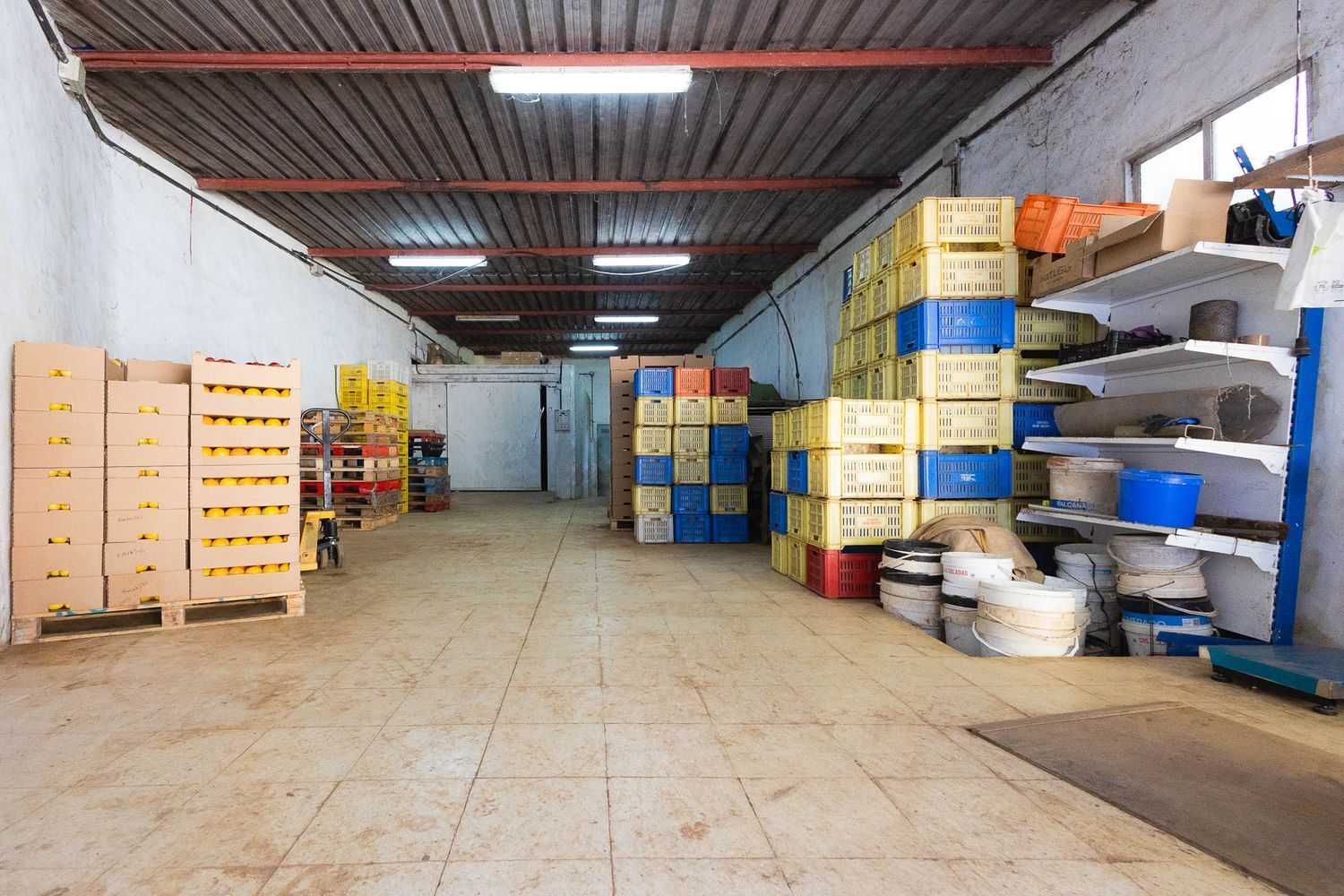 Casas o chalets-Venta-Firgas-1103202-Foto-12