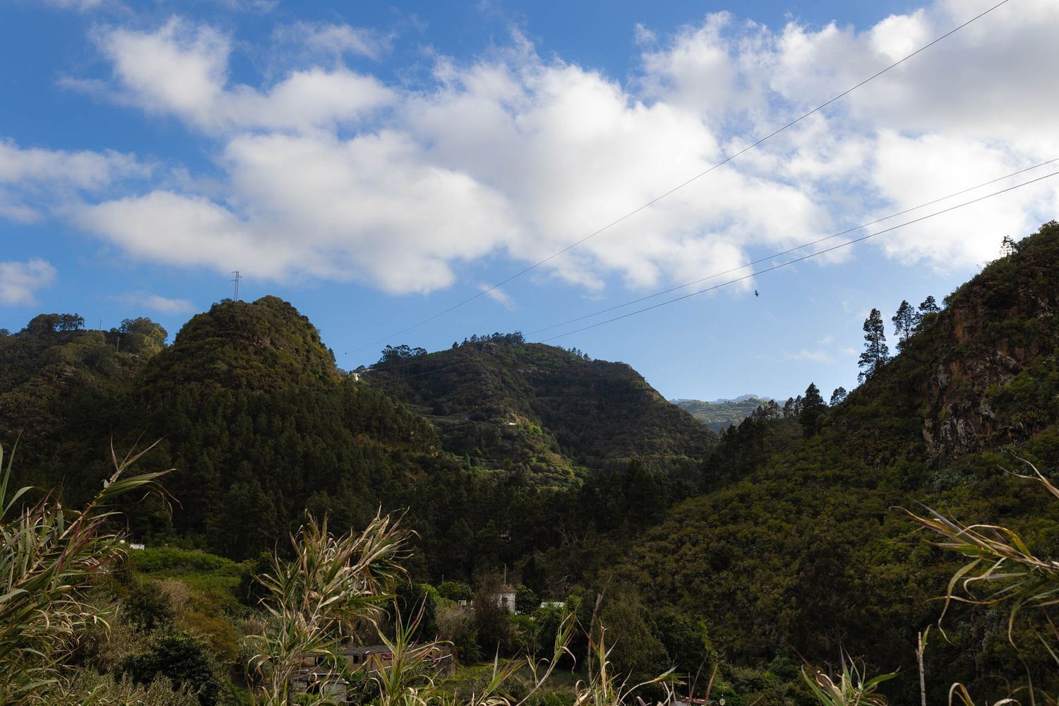 Casas o chalets-Venta-Firgas-1103202-Foto-31