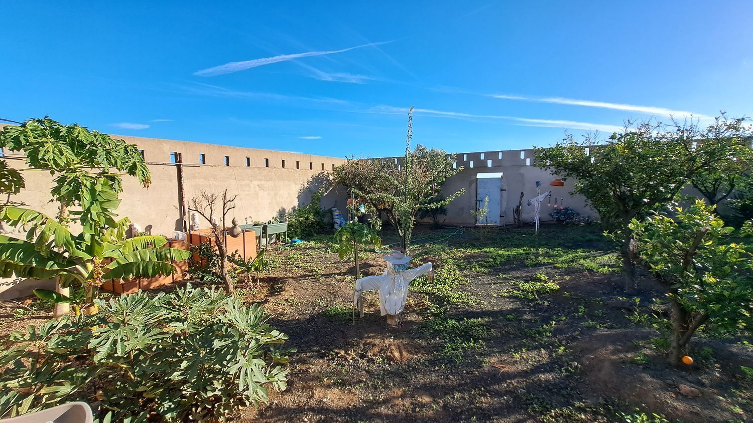 Casas o chalets-Venta-Ingenio-2032859-Foto-44