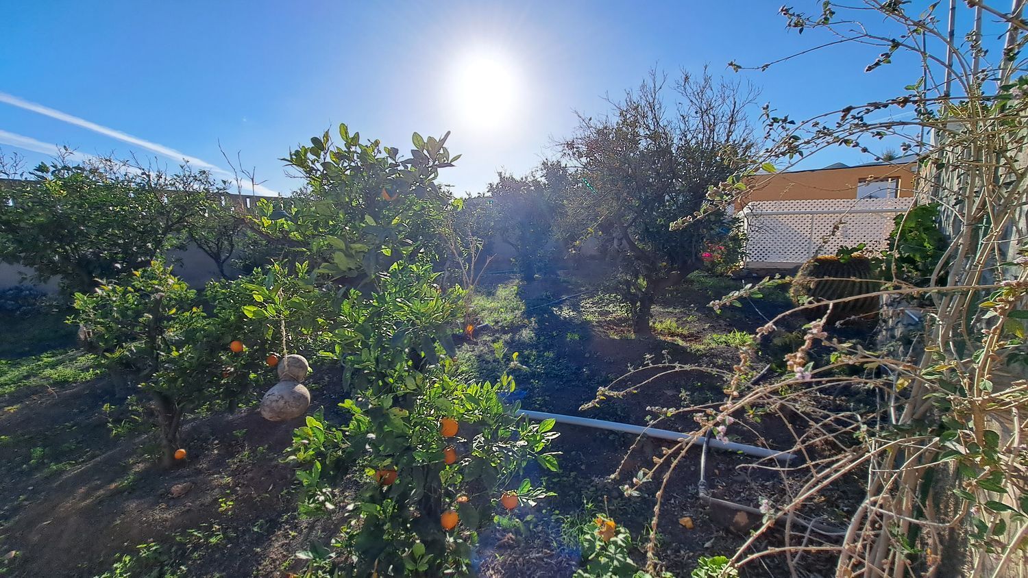 Casas o chalets-Venta-Ingenio-2032859-Foto-45