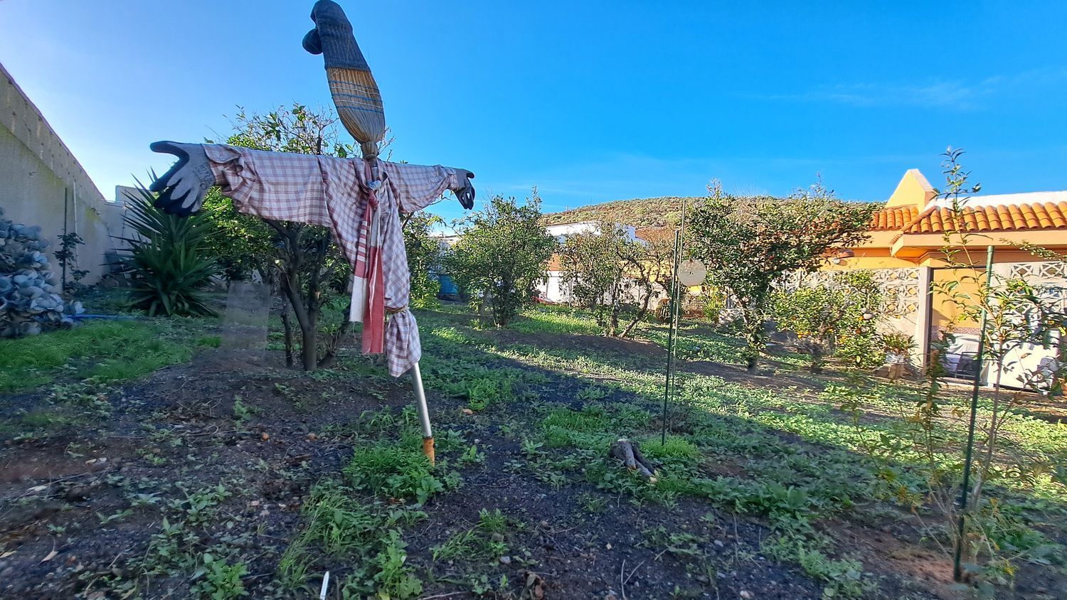 Casas o chalets-Venta-Ingenio-2032859-Foto-49