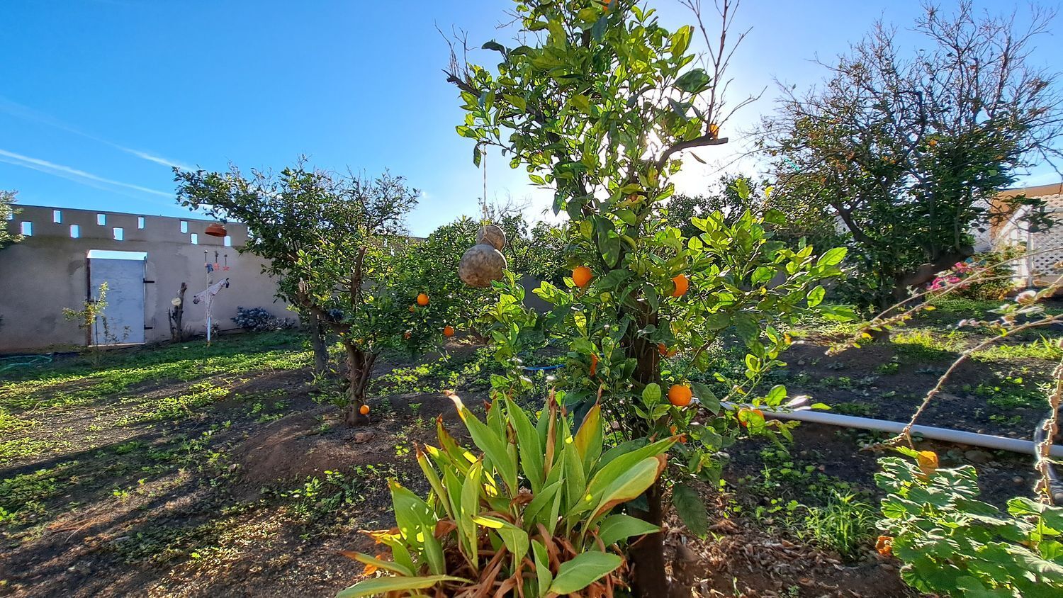 Casas o chalets-Venta-Ingenio-2032859-Foto-46