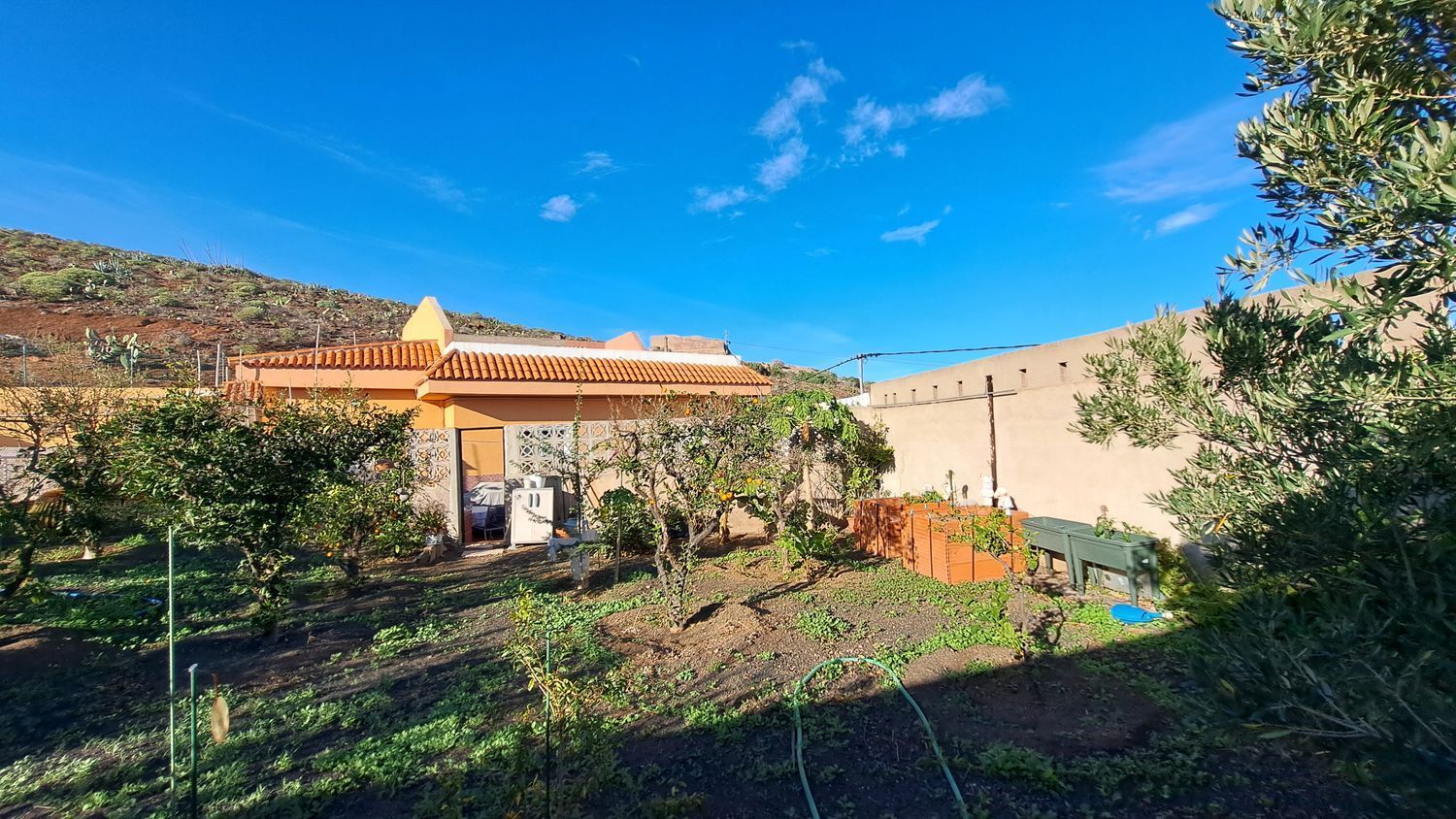 Casas o chalets-Venta-Ingenio-2032859-Foto-48