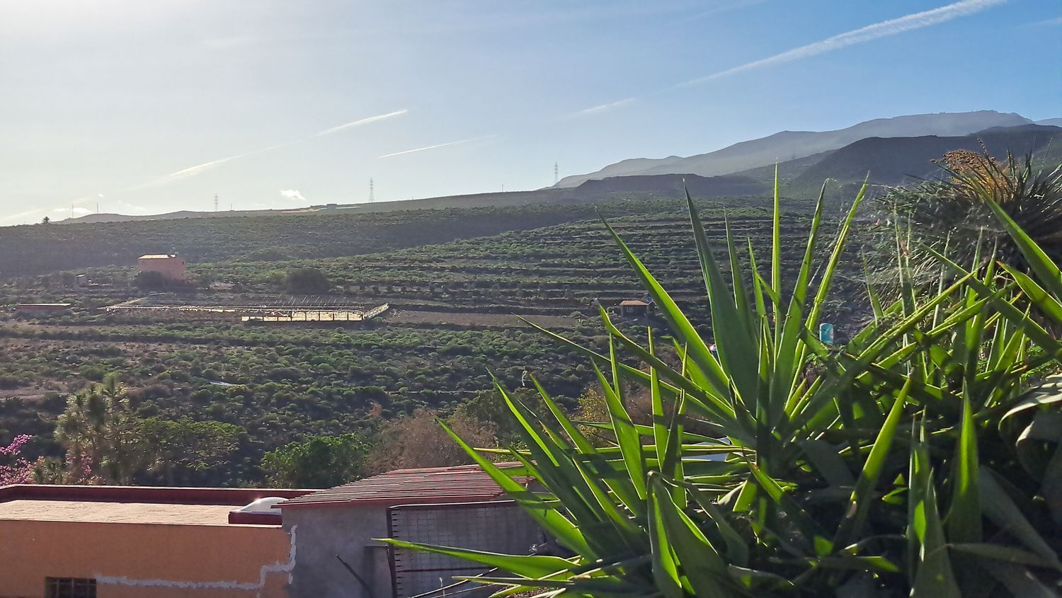 Casas o chalets-Venta-Ingenio-2032859-Foto-63