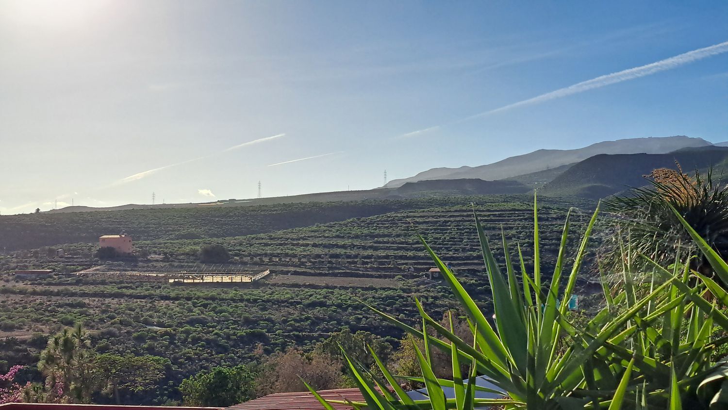 Casas o chalets-Venta-Ingenio-2032859-Foto-62