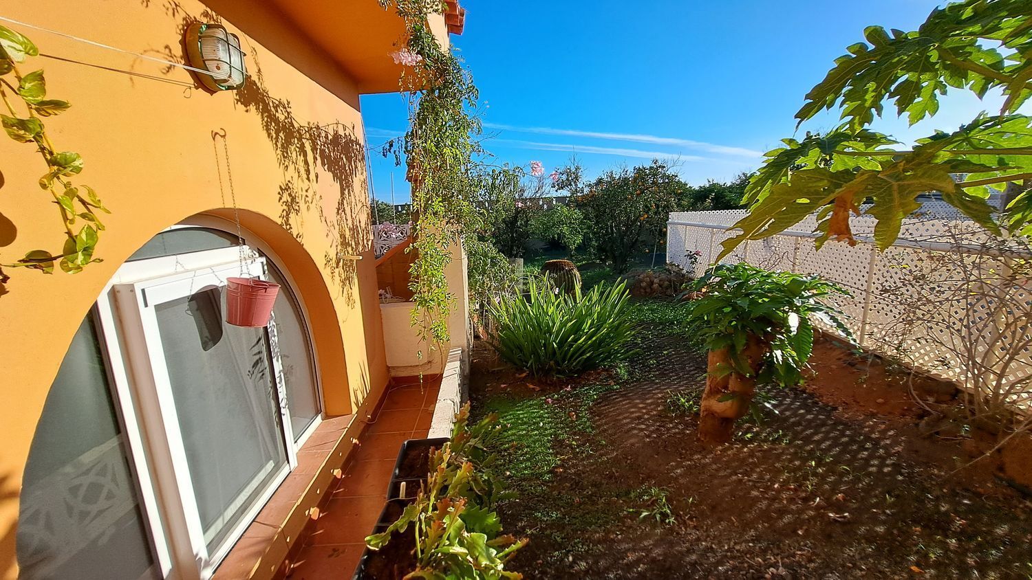 Casas o chalets-Venta-Ingenio-2032859-Foto-90