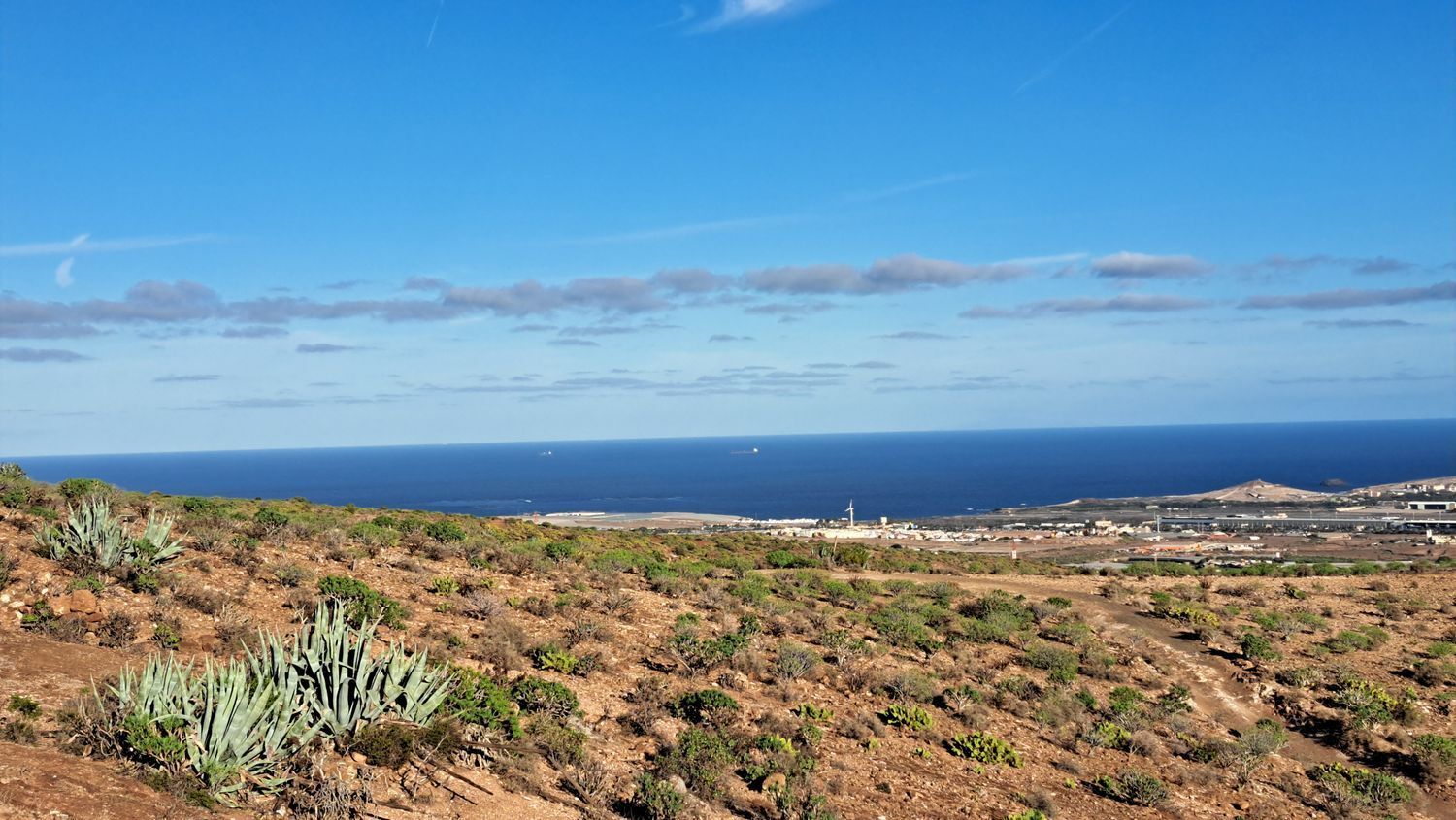 Casas o chalets-Venta-Ingenio-2032859-Foto-103