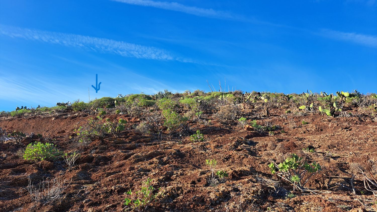 Casas o chalets-Venta-Ingenio-2032859-Foto-119