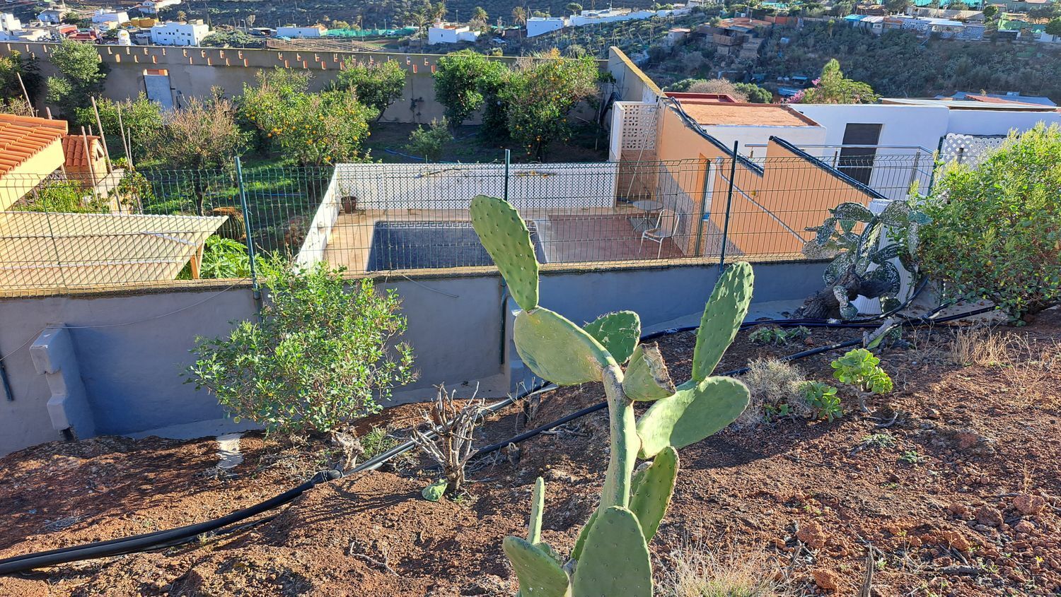 Casas o chalets-Venta-Ingenio-2032859-Foto-126