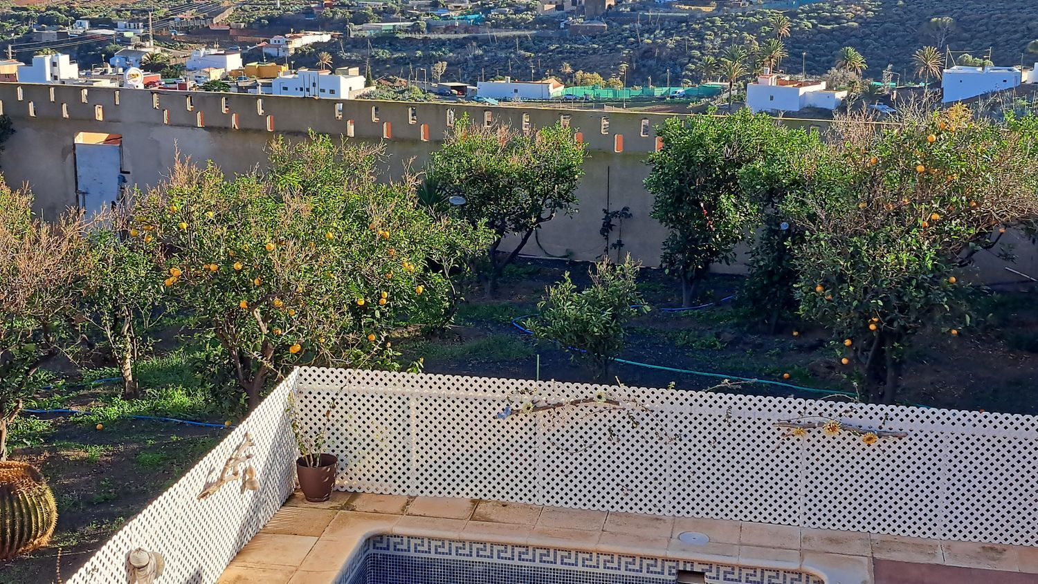 Casas o chalets-Venta-Ingenio-2032859-Foto-128