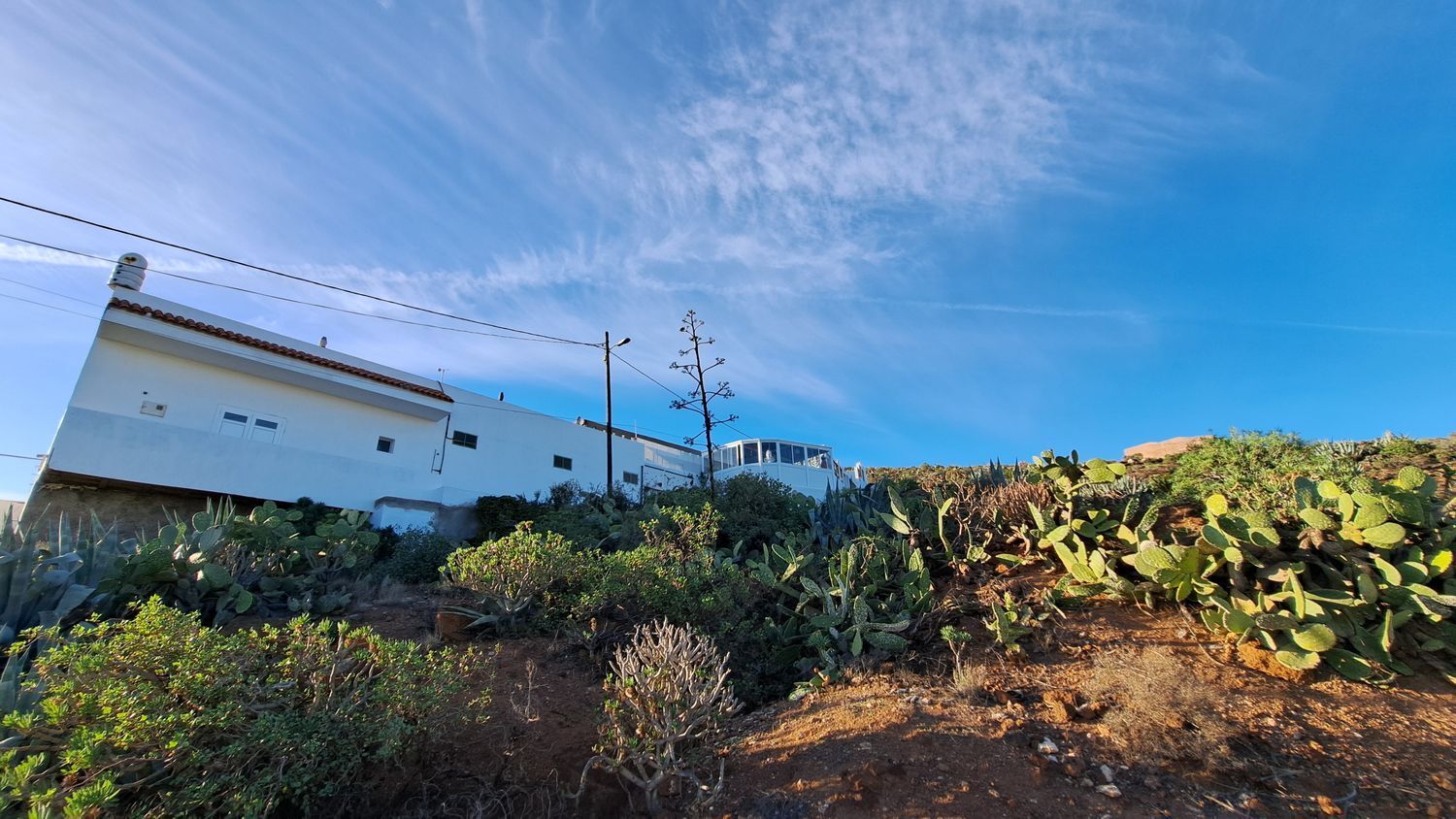 Casas o chalets-Venta-Ingenio-2032859-Foto-169