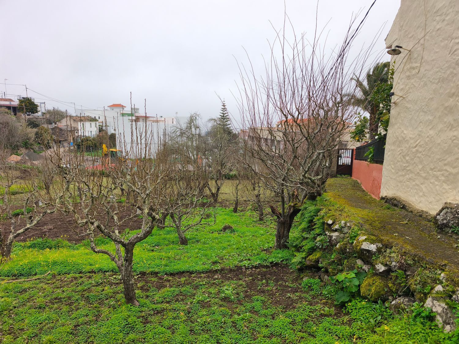 Casas o chalets-Venta-Valleseco-2087500-Foto-73