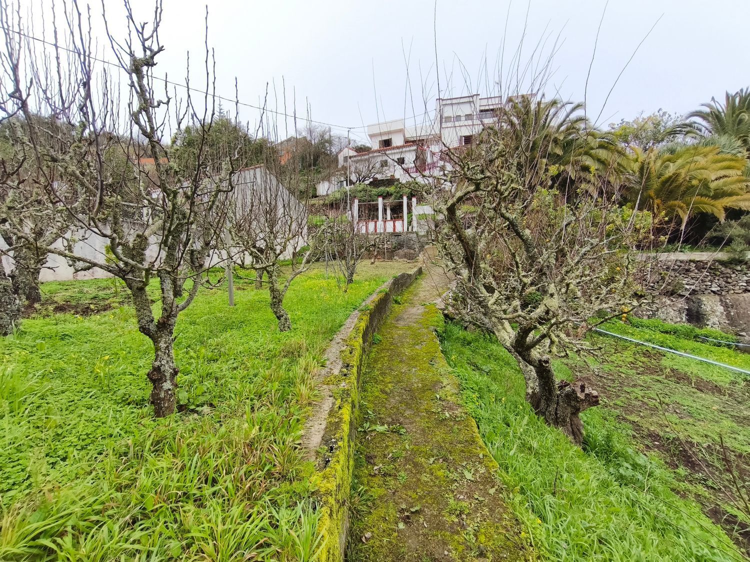 Casas o chalets-Venta-Valleseco-2087500-Foto-72