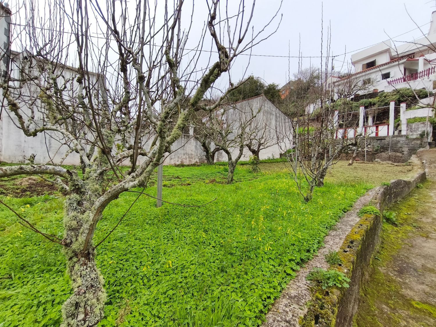 Casas o chalets-Venta-Valleseco-2087500-Foto-74