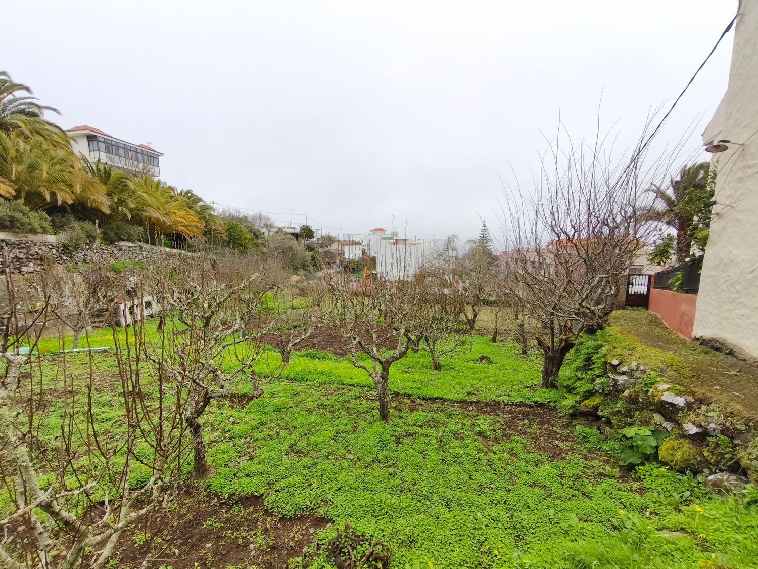 Casas o chalets-Venta-Valleseco-2087500-Foto-75